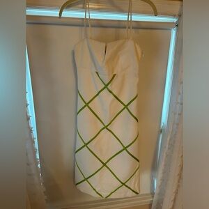 NWT CK Bradley Green and White Dress